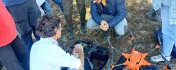 Máster en Conservación de la Biodiversidad. UHU