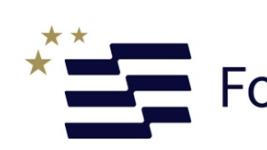 Logo FB FEDER