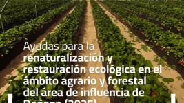 cartel