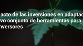 Cartel 