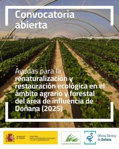 cartel