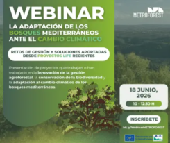 La adaptación de los bosques mediterráneos frente al cambio climático: retos de gestión y soluciones aportadas desde proyectos LIFE