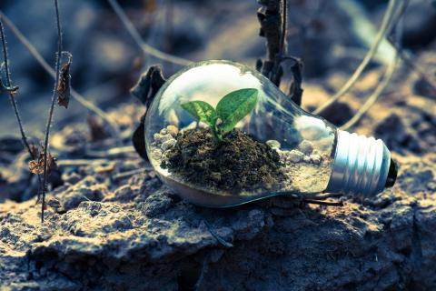 El Gobierno de Navarra aprueba una nueva hoja de ruta climática que integra también energía y transición justa 